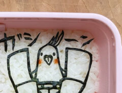 弁当の写真