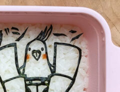 弁当の写真