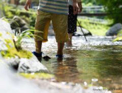 水遊びする子供