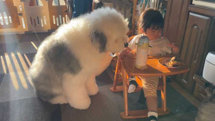 犬と娘の写真