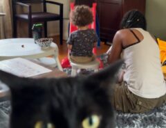 遊んでいる親子の後ろ姿と黒猫の写真