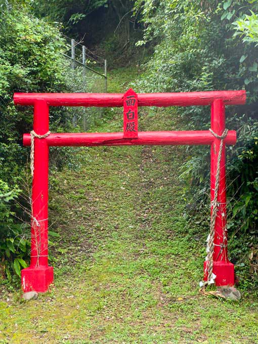 面白殿の鳥居の写真