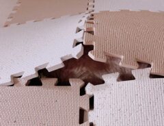 隠れる猫