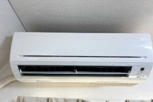 美しすぎる桜の写真に10万人が感動…完璧な構図すぎて絵画かと