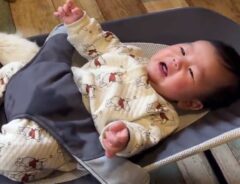 バウンサーにのる赤ちゃん