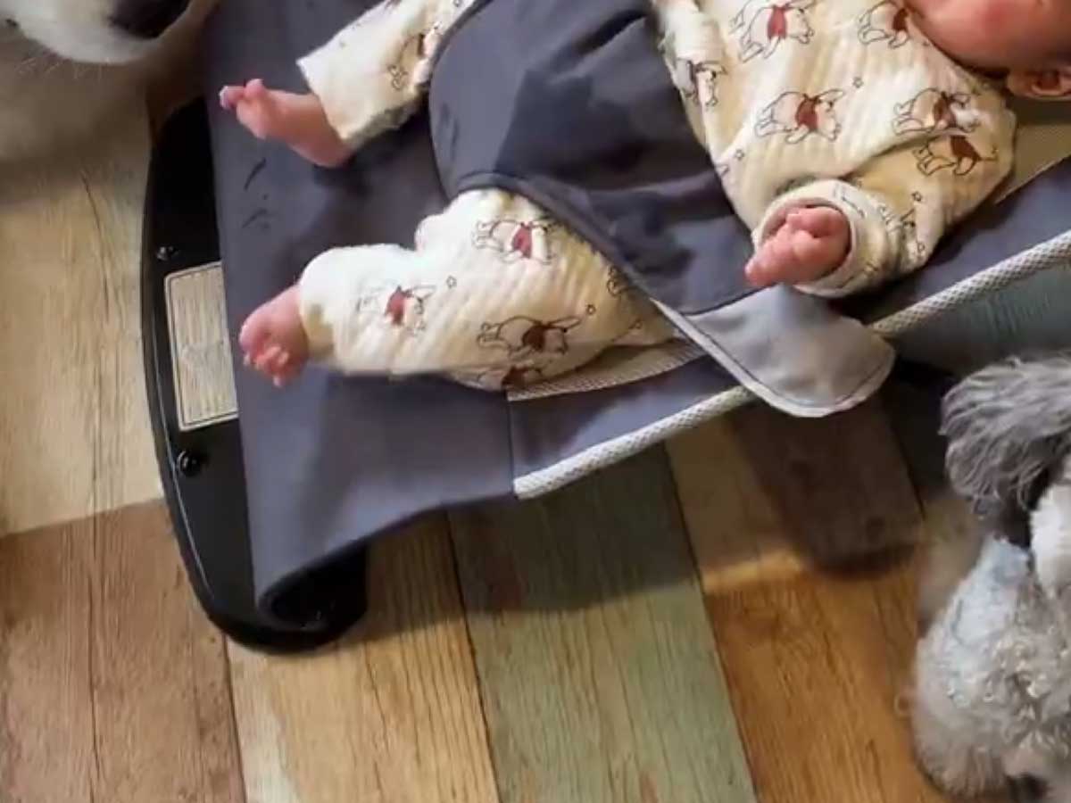 バウンサーにのる赤ちゃん