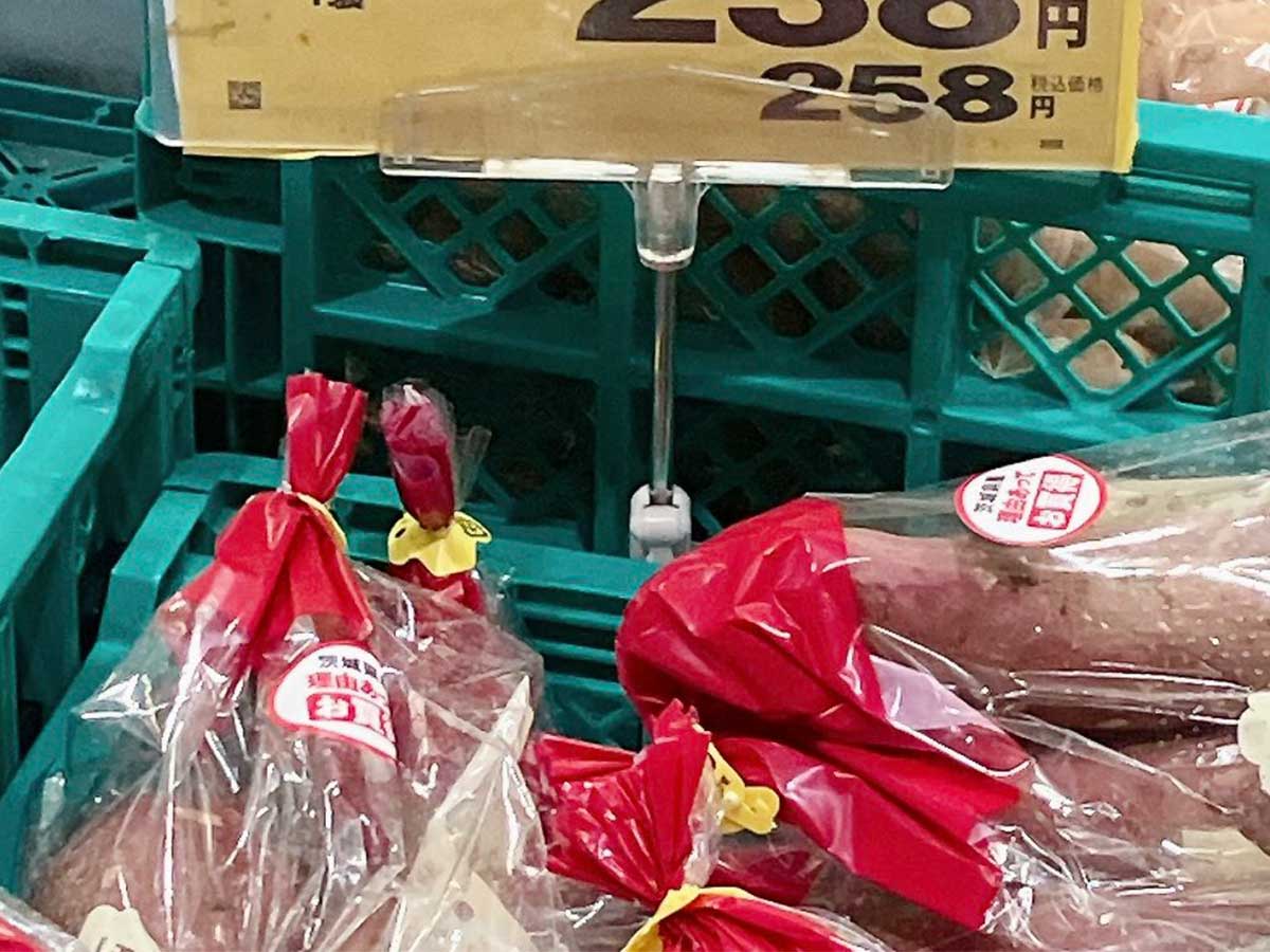 サツマイモ