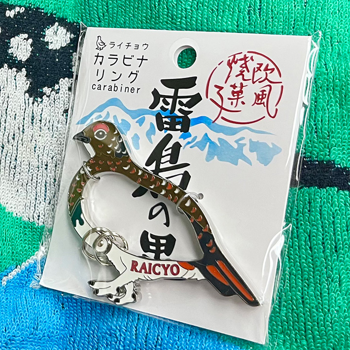 カラビナの写真