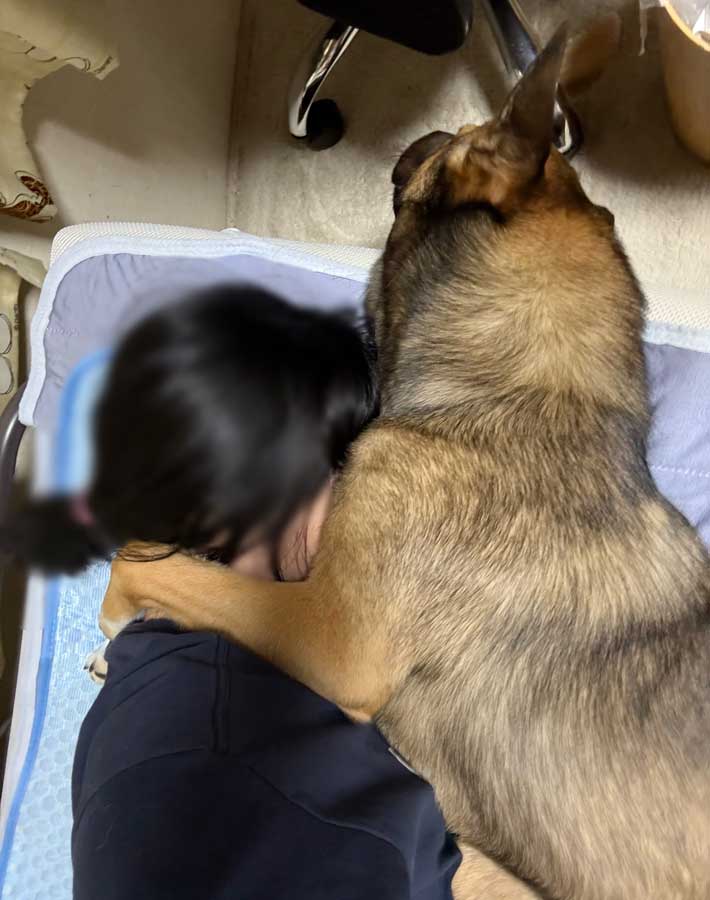 犬と飼い主