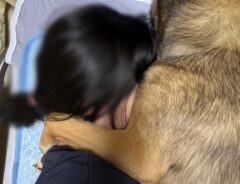 犬と飼い主