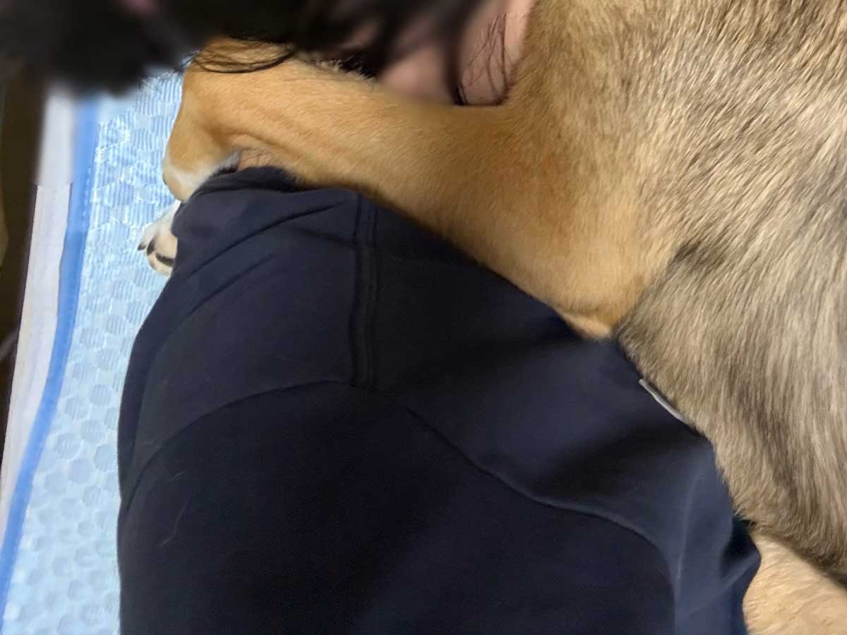 犬と飼い主