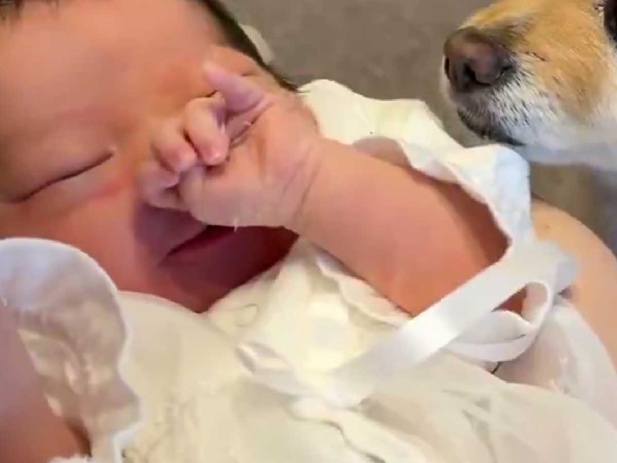赤ちゃんの画像
