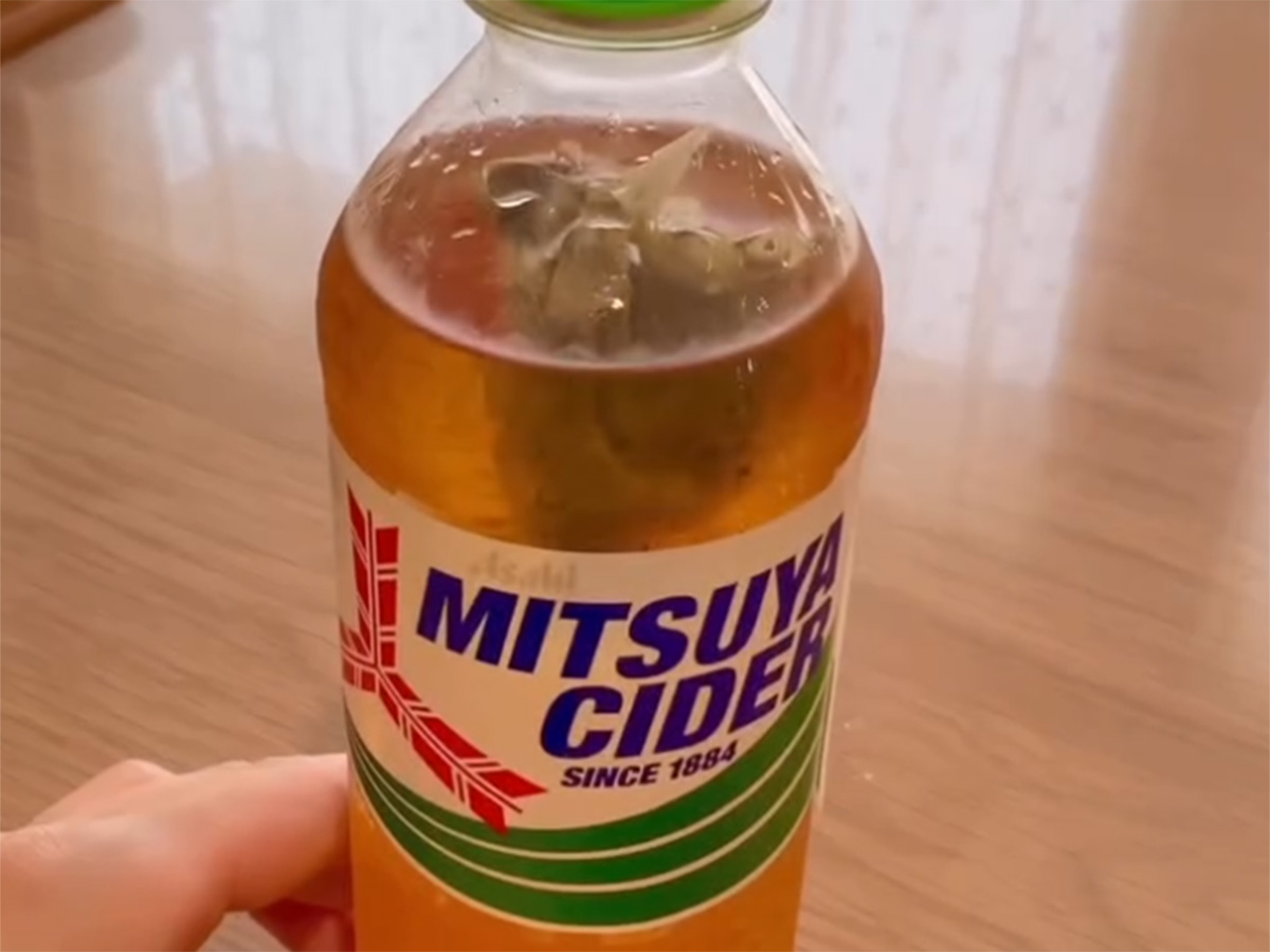 うりさん(uri_kurashi)が紹介した、『ペットボトル飲料アレンジ』