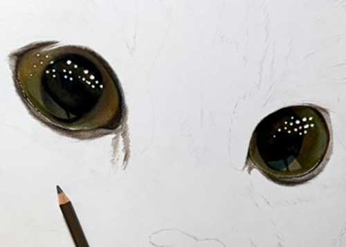 色鉛筆で描かれる猫の写真