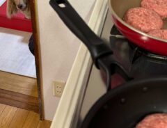 犬の画像