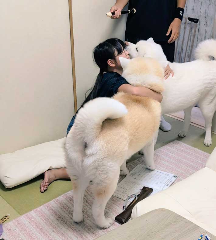 犬の画像