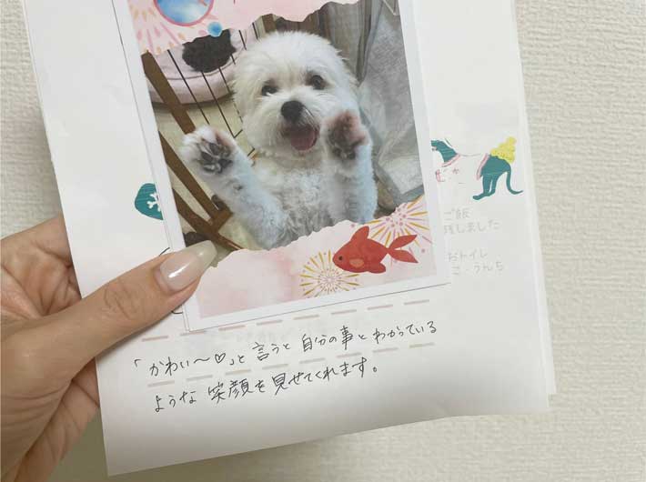 トリマーの報告書