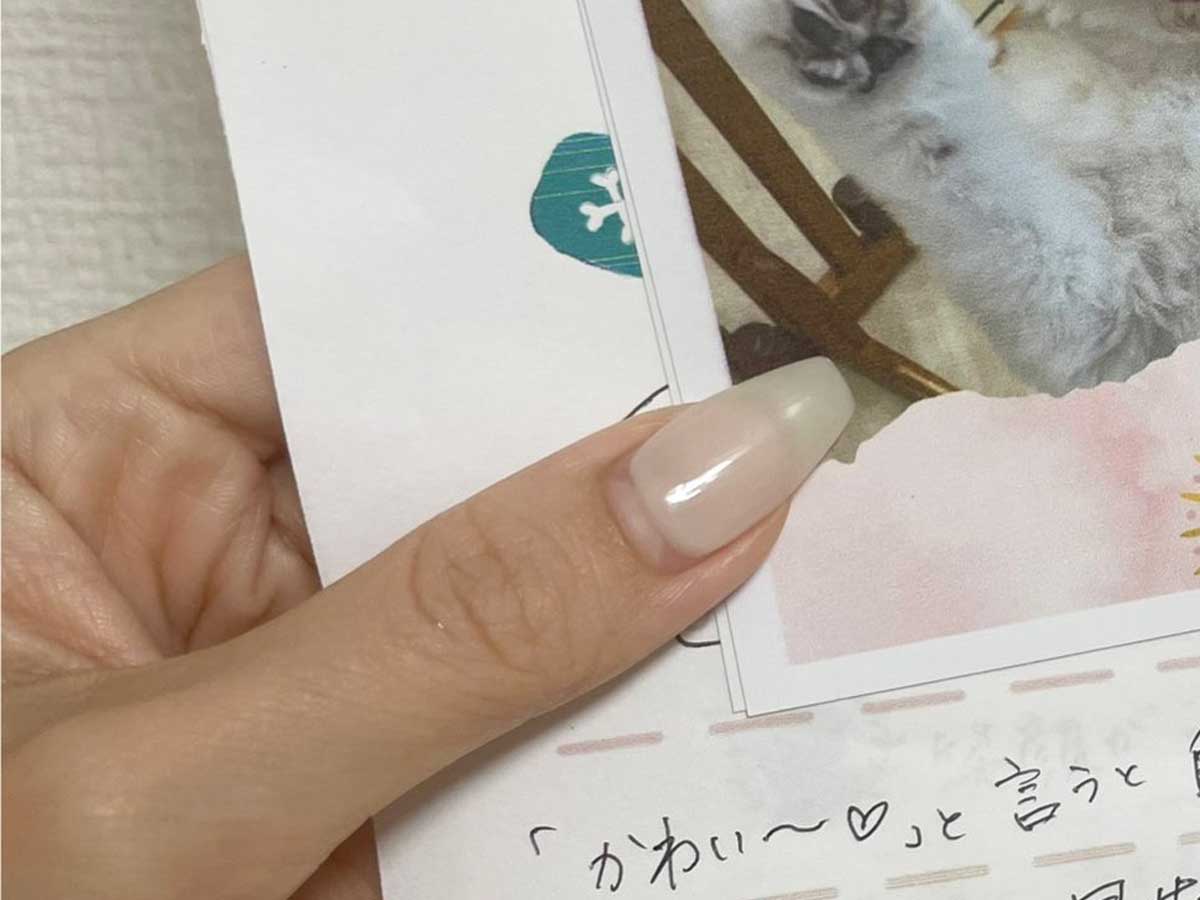 トリマーの報告書