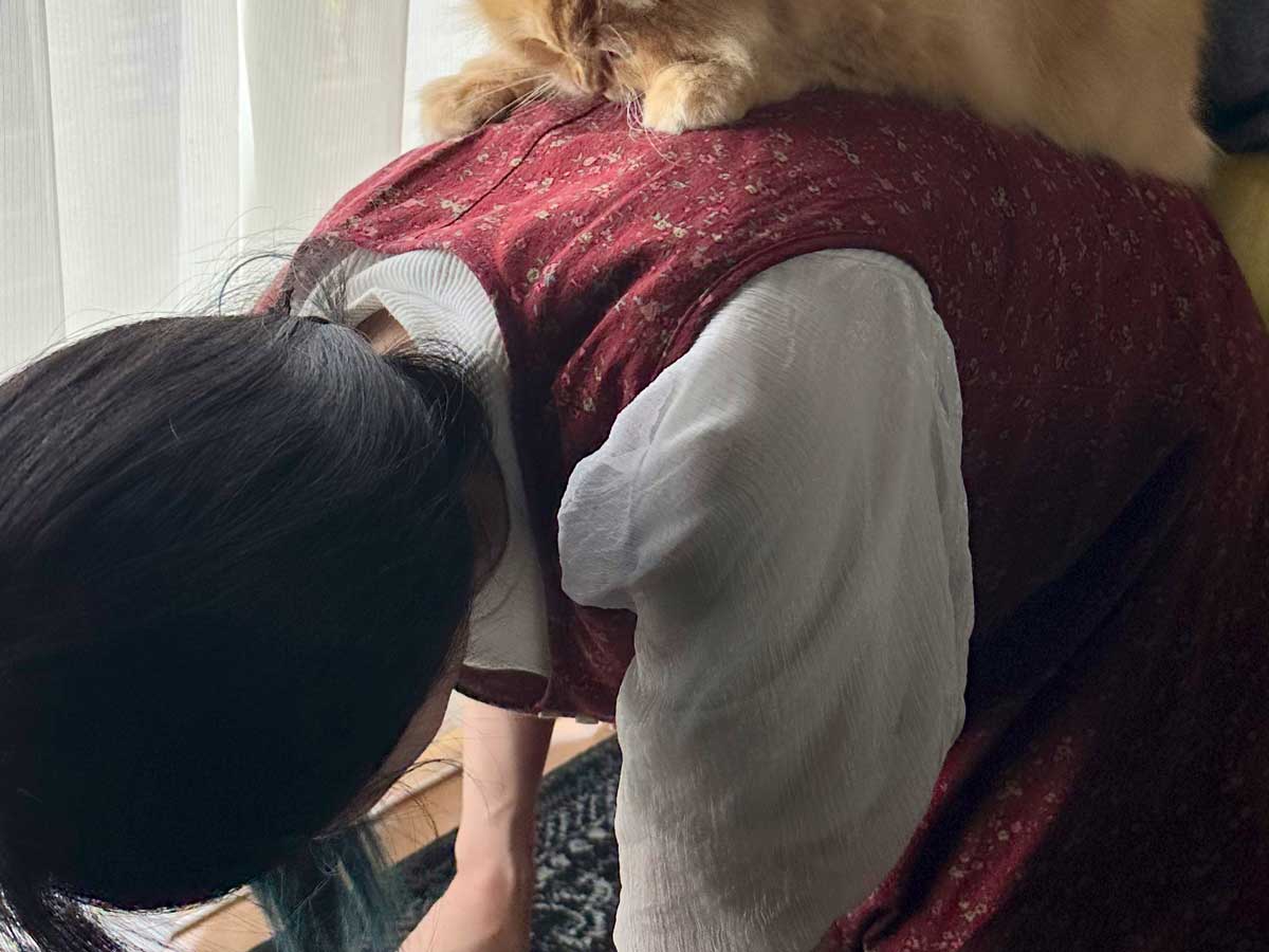 妻と猫