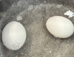 『香味ペースト』味のゆで卵を作る写真