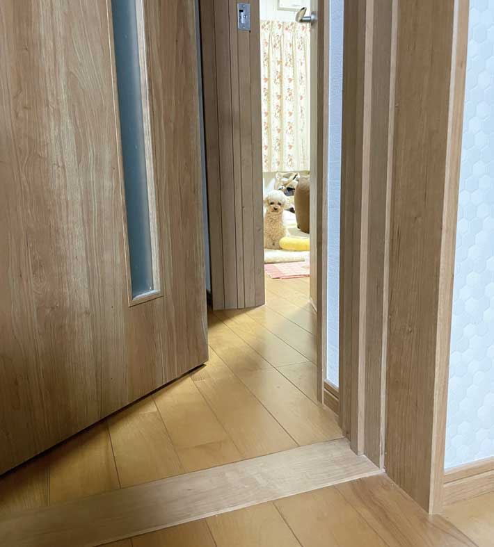 飼い主を見守る犬