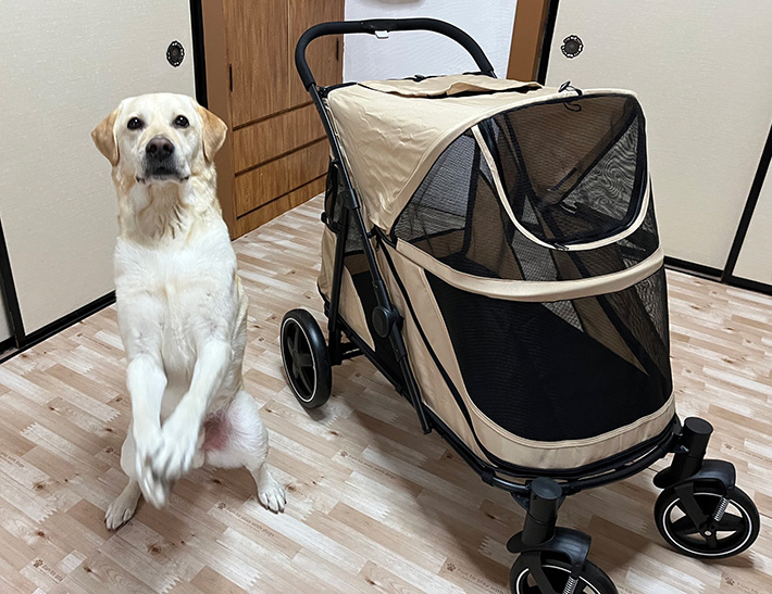 ペットカートと犬