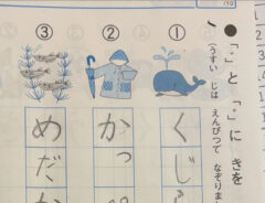宿題の写真