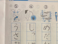 宿題の写真