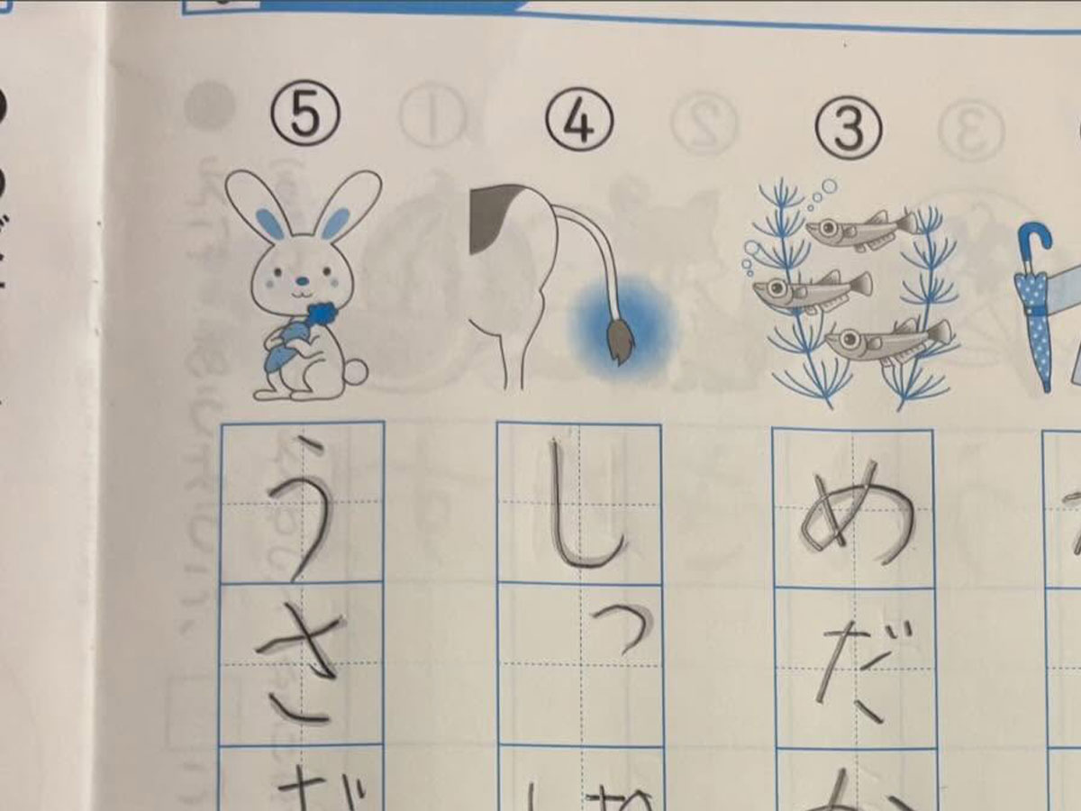 宿題の写真