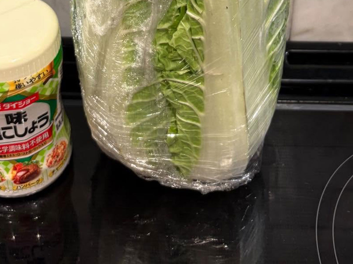 白菜の写真