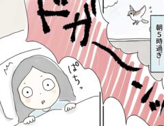モバイルバッテリー爆発