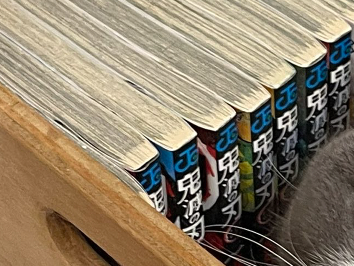 『鬼滅の刃』単行本と猫の写真