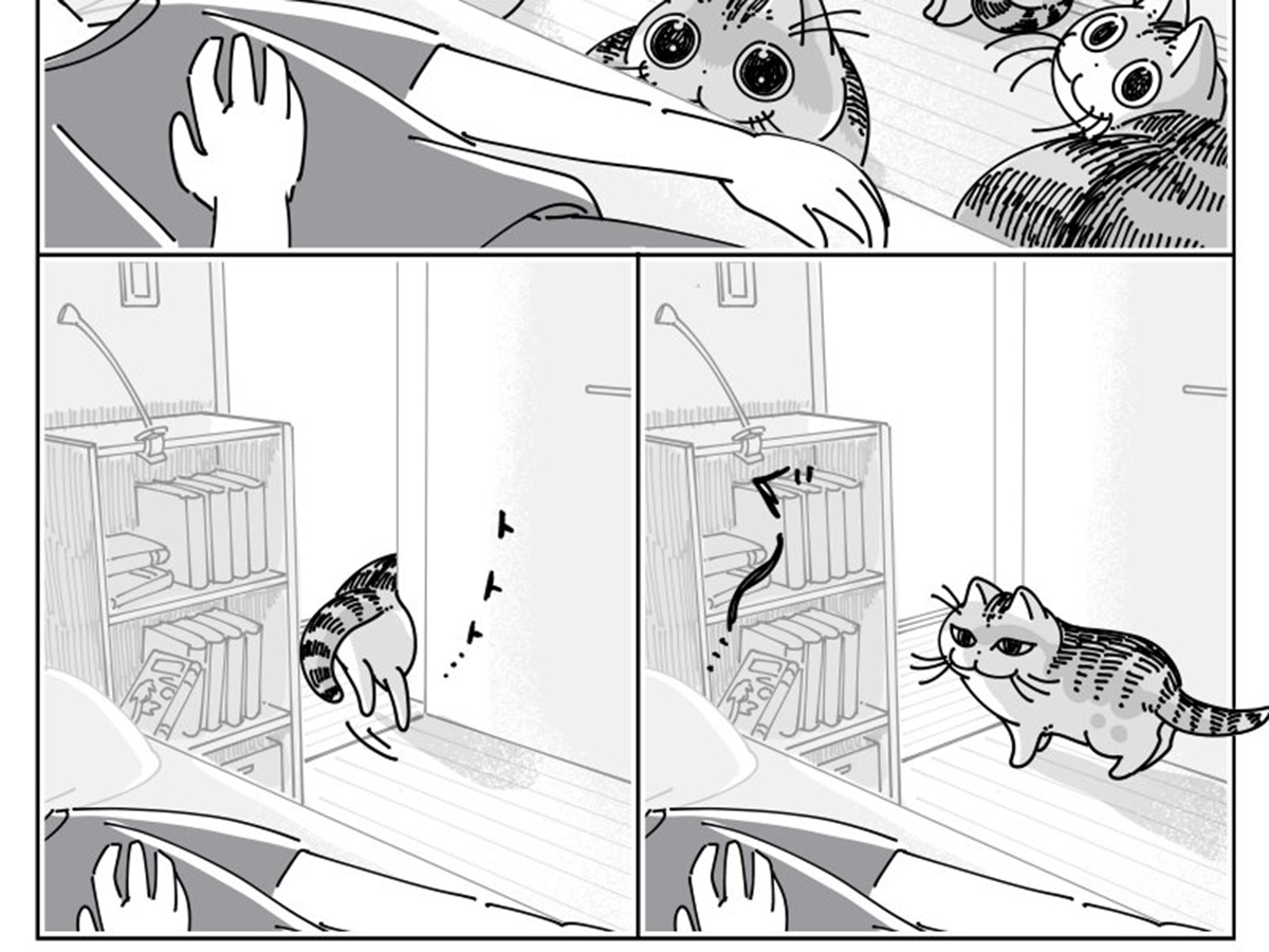 キュルZ（@kyuryuZ）さんの漫画