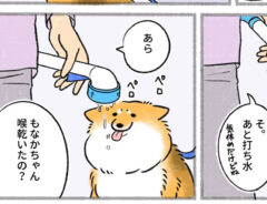 さかぐちまやさんの漫画