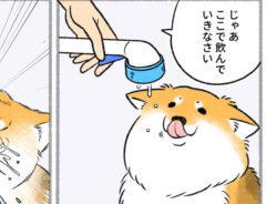 さかぐちまやさんの漫画