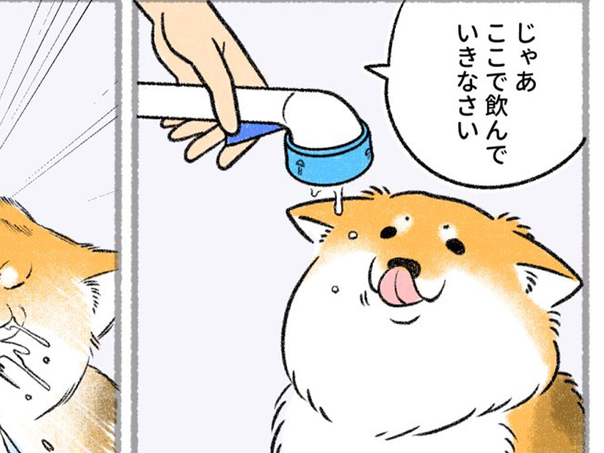 さかぐちまやさんの漫画