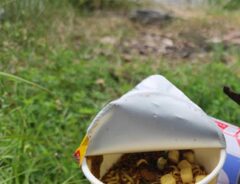 キャンプ場の画像