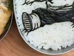 お弁当の写真