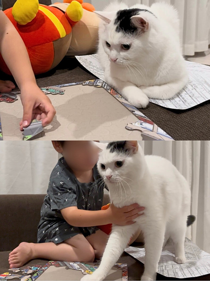 猫と子供