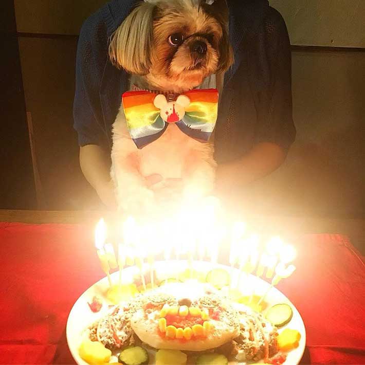 ケーキの写真