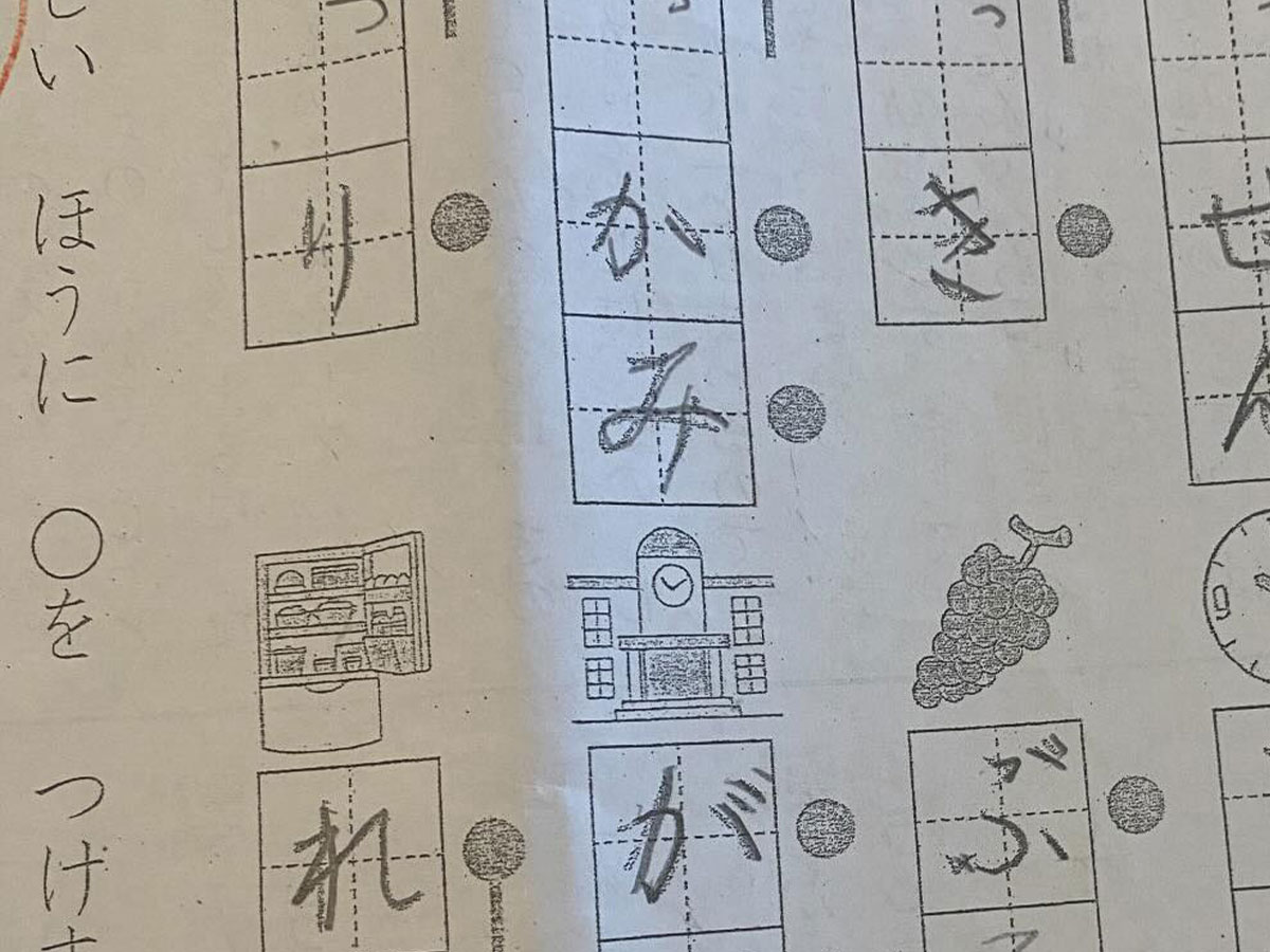 宿題の写真