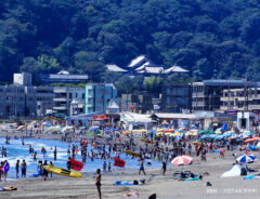 海水浴