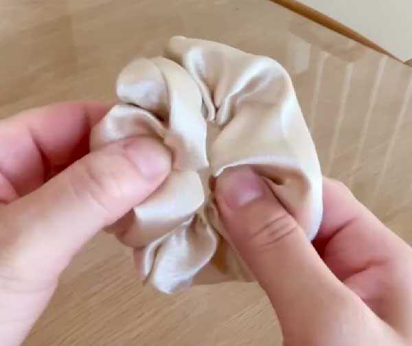 シュシュの画像