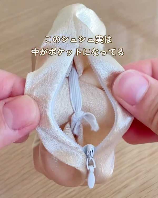 シュシュの画像