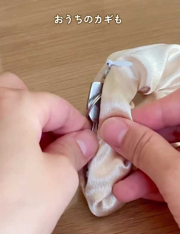 シュシュの画像