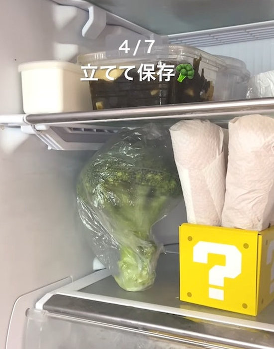 立てて冷蔵庫に入れたブロッコリー