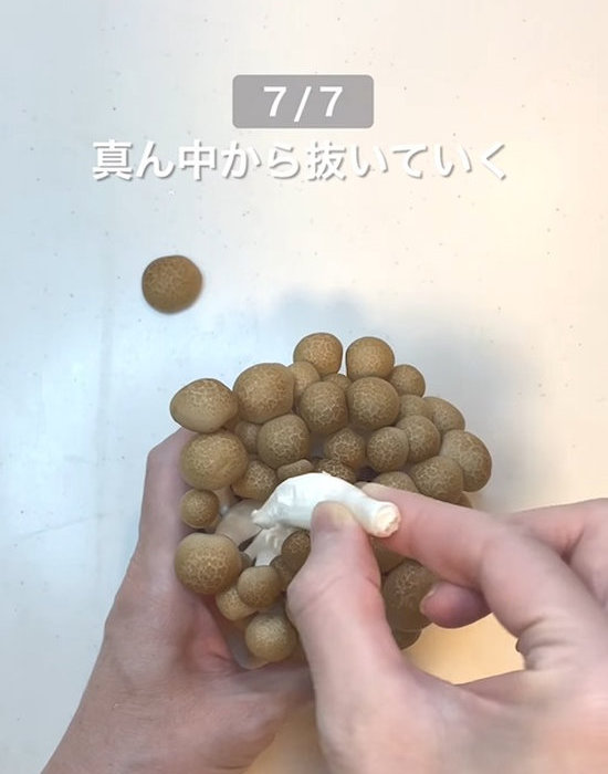 シメジを抜いていく様子