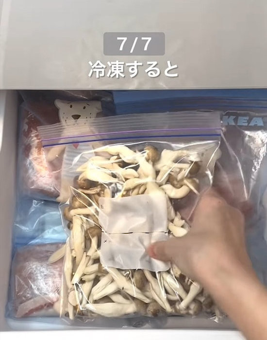 フリーザーバッグに入れたシメジを冷凍室に入れる様子