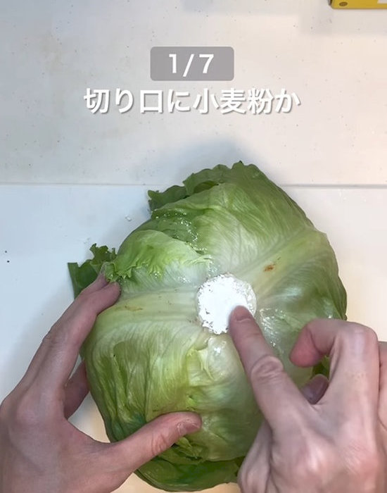 レタスの芯に小麦粉を塗る様子