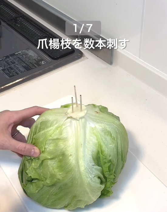 爪楊枝を差し込んだレタスの芯
